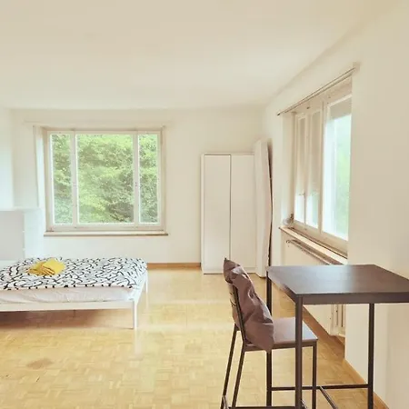 Center Flats With Balcony - Rigi *
