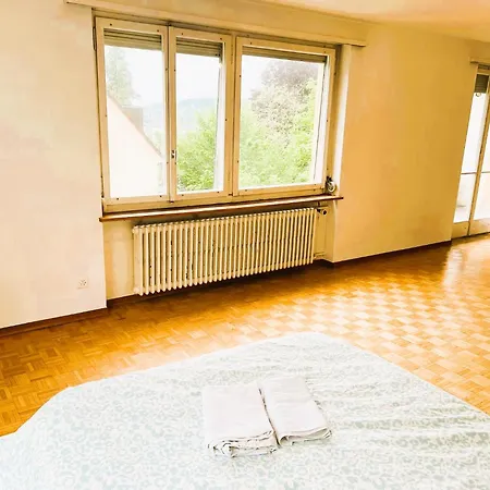 Appartamento Center Flats With Balcony - Rigi *