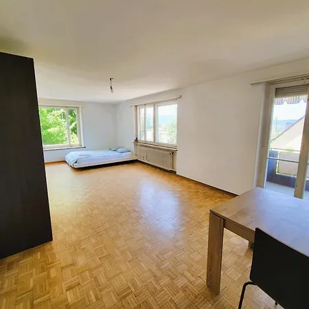 Center Flats With Balcony - Rigi Appartamento *