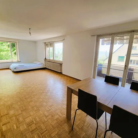 Appartamento Center Flats With Balcony - Rigi Zurigo